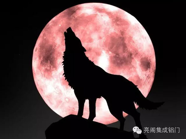 鋁門(mén)窗十大品牌,鋁合金門(mén)窗十大品牌－－狼