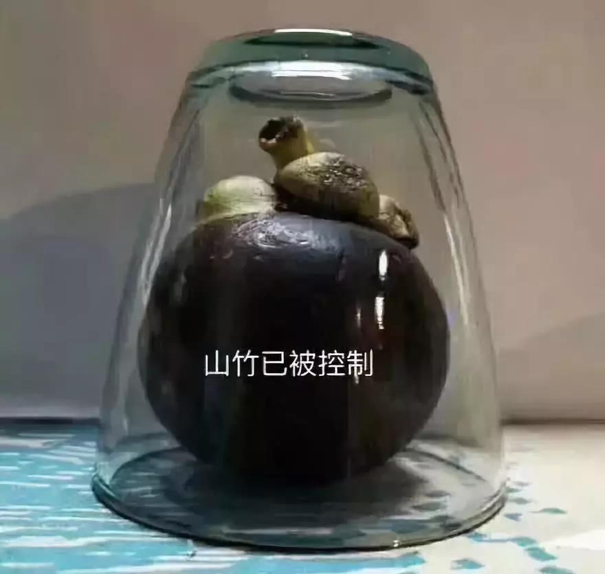 臺風(fēng)“山竹”來(lái)勢洶洶，亮閣門(mén)窗為你保駕護航！